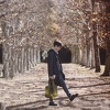qi han