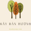 Cây đàn hương