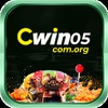 cwin05comorg 