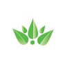 BIOIRES Glink
