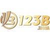 123b 