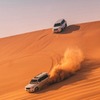 Desert Safari