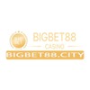 Bigbet88 City