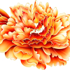 su le