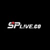Splive co
