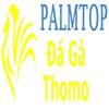 Đá Gà Trực Tiếp Thomo