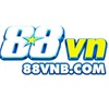 88vn 