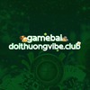Vibe Club Game Bài Đổi Thưởng