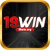 19winorg 