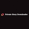 Private Instagram Stories Downloader