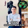 CEO OPAN
