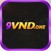 9VND One