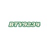 bty9234 net