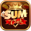 Sumclub Tips