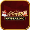 Hay88 