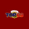TOP88 CO