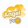 angelprovn3 