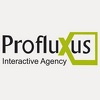 Profluxus Interactive