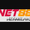 Net 88