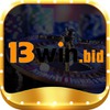 13winbid 