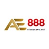 AE888 