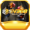 SV368 