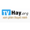 TV Hay