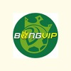 Nhà Cái Bongvip