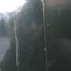 Lucia Schmid