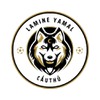 Cầu Thủ Lamine Yamal