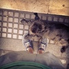 Otto One