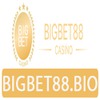 Bigbet88 Bio
