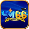 Vninfo Sm66