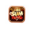 sumclubone 