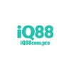 iq88compro 