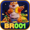 BR001 