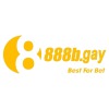 888B Gay