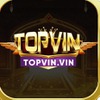 Top vin