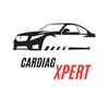 CarDiagXpert Repair Online
