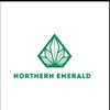 Northern Emerald Long Biên