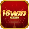 16winorg 