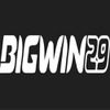 bigwin 29
