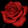 Mel Rose