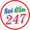 Soi cầu 247