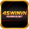 45winvnnet 