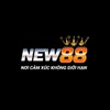 Nhà cái NEW88