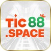 TIC88 