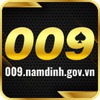 009nam dinhgovvn