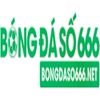 Bóng đá số 666