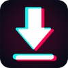 DownTik TikTok Downloader